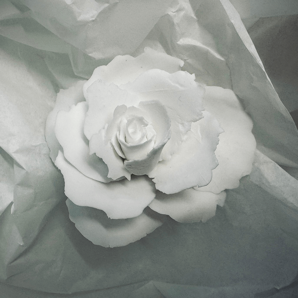 Rose 1 from the 1882 Ltd. Ceramic Rose collection for Valentines