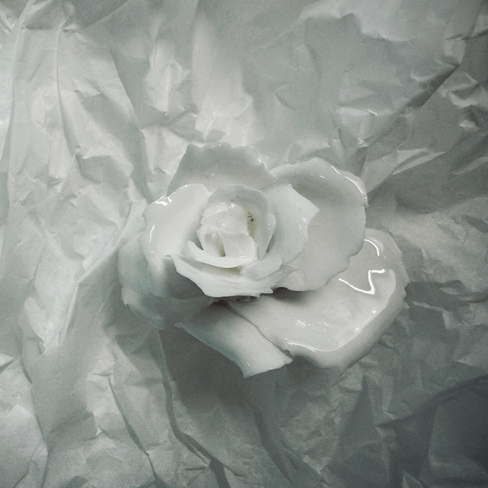 Rose 19 from the 1882 Ltd. Ceramic Rose collection for Valentines