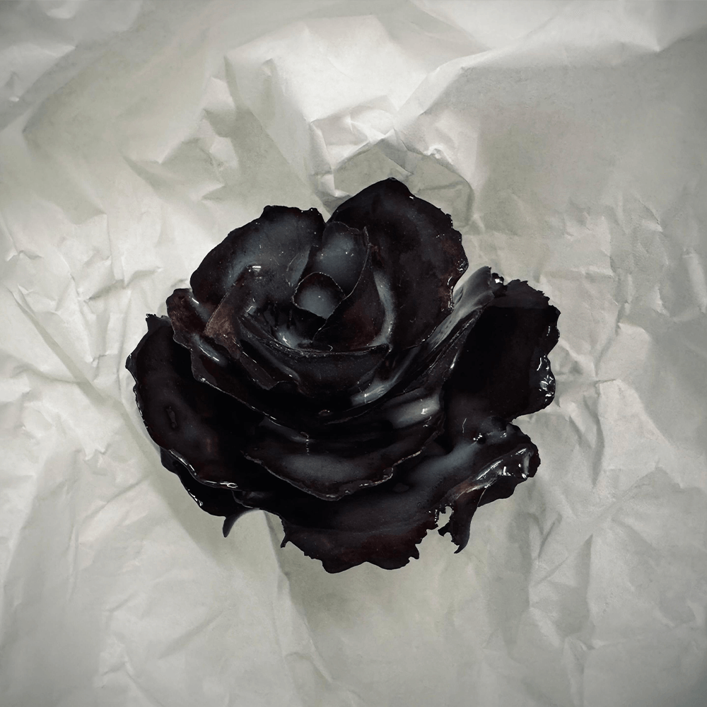 Rose 22 from the 1882 Ltd. Ceramic Rose collection for Valentines