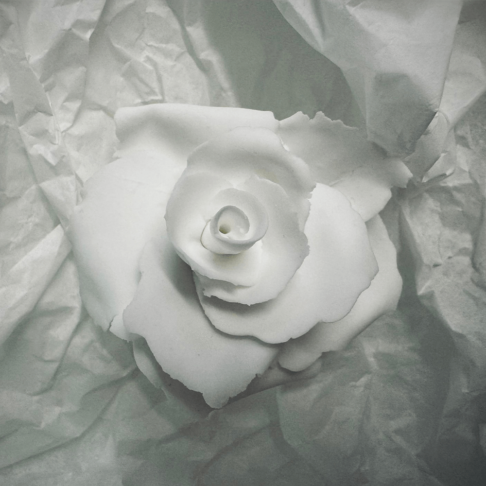 Rose 24 from the 1882 Ltd. Ceramic Rose collection for Valentines