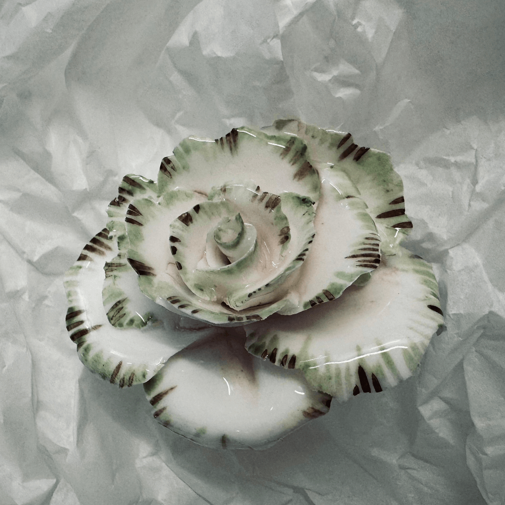 Rose 25 from the 1882 Ltd. Ceramic Rose collection for Valentines