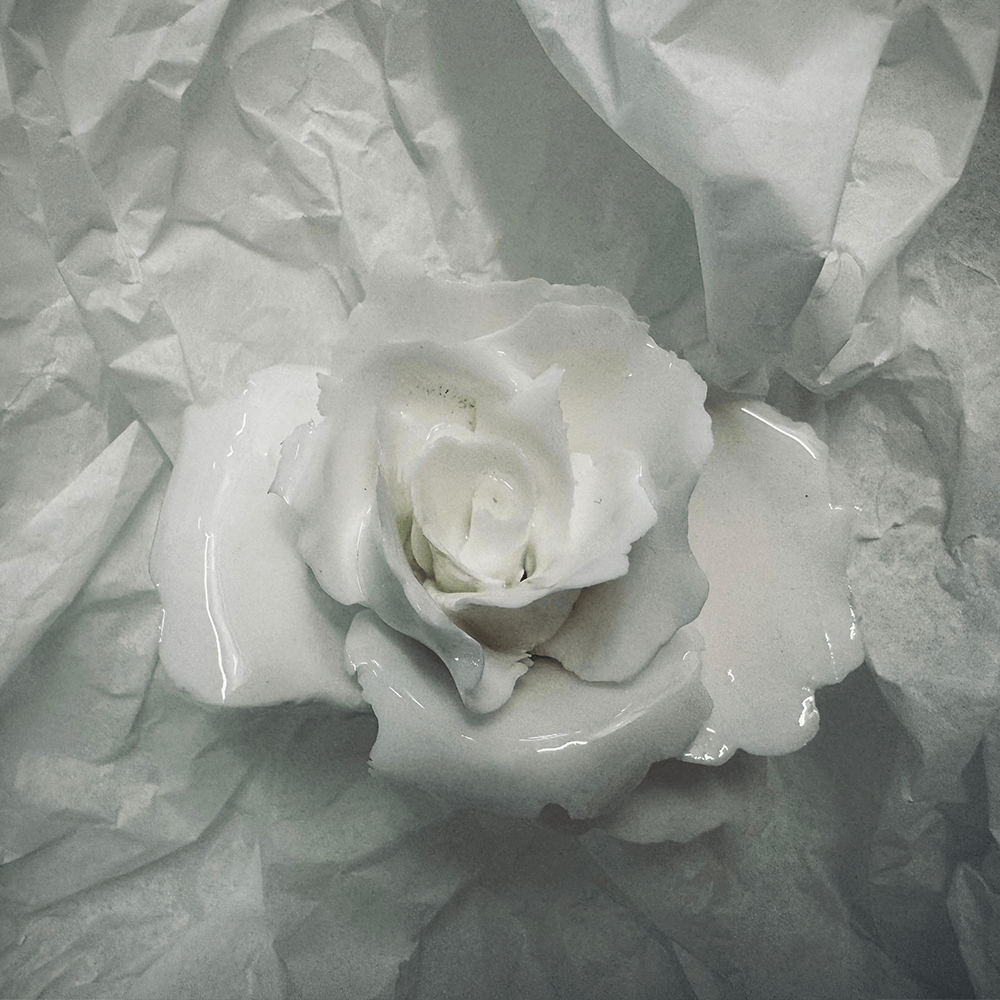 Rose 26 from the 1882 Ltd. Ceramic Rose collection for Valentines